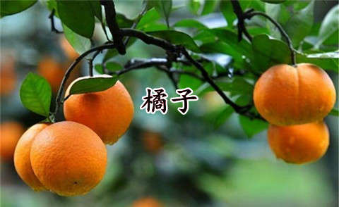 Chinese Orange