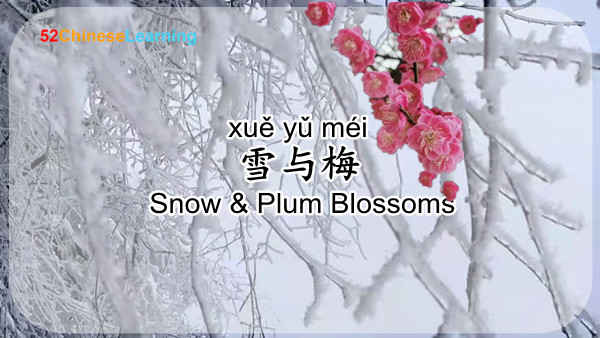 Chinese Literature: The Mystery of Plum Blossoms and Snow 