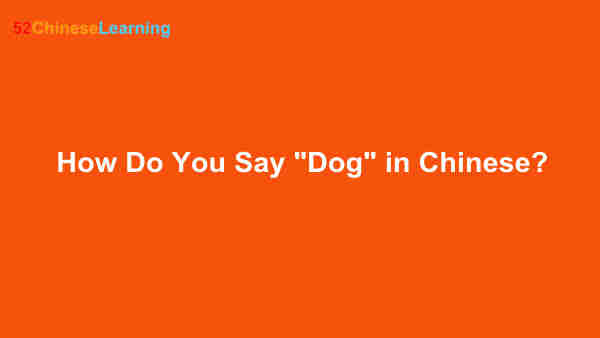 How Do You Say “Dog” in Chinese?