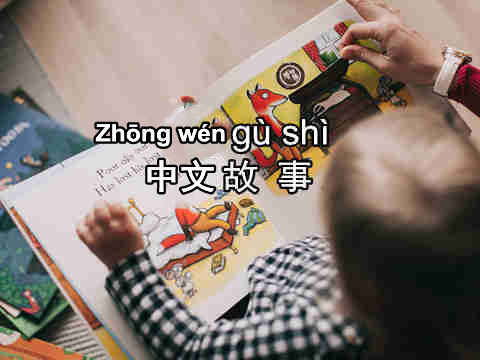 Read Chinese books