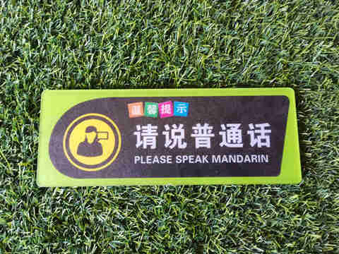 please speak Mandarin