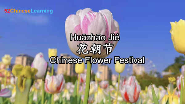 Traditional Flower Festival Celebrated in China