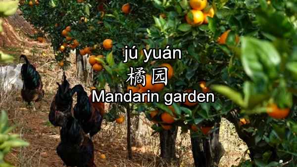 Reminiscence: Mandarin Garden