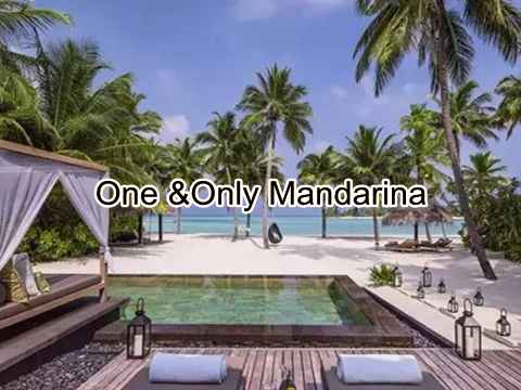 One & Only Mandarina