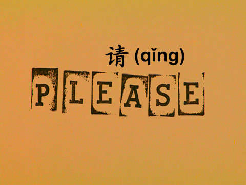 please in chinese