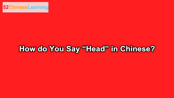How do You Say “Head” in Chinese?