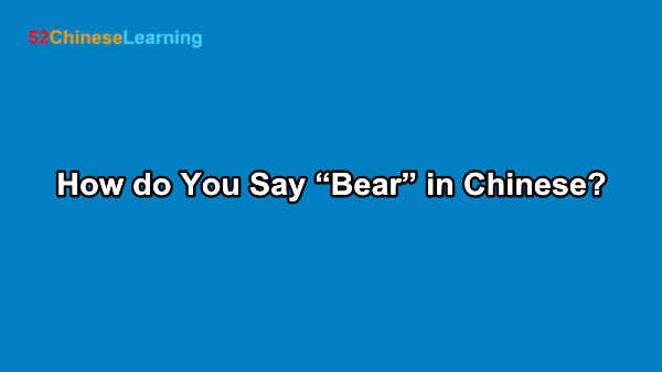 How do You Say “Bear” in Chinese?